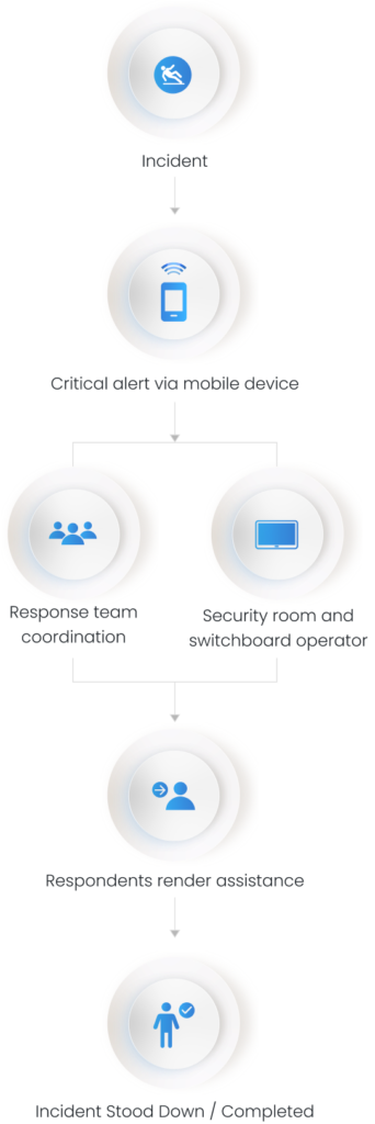 Reach workflow diagram
